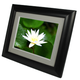Illustration for article titled Digital Foci Set To Launch 3 New Image Moments Digital Frames